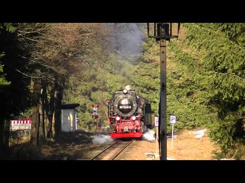 Harz, Dampf und Natur 1 | 99 7245 bei Drei Annen