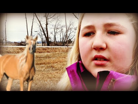 WE HAVE A HUGE PROBLEM WITH FINN! Day 085 (03/24/20)