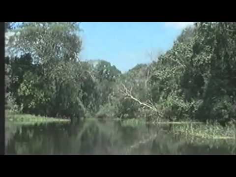 Nmesh - 着物 (Official Video)