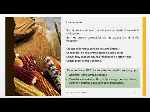 ¿Qué es un CULTIVO BÁSICO? | Introducción cultivos básicos