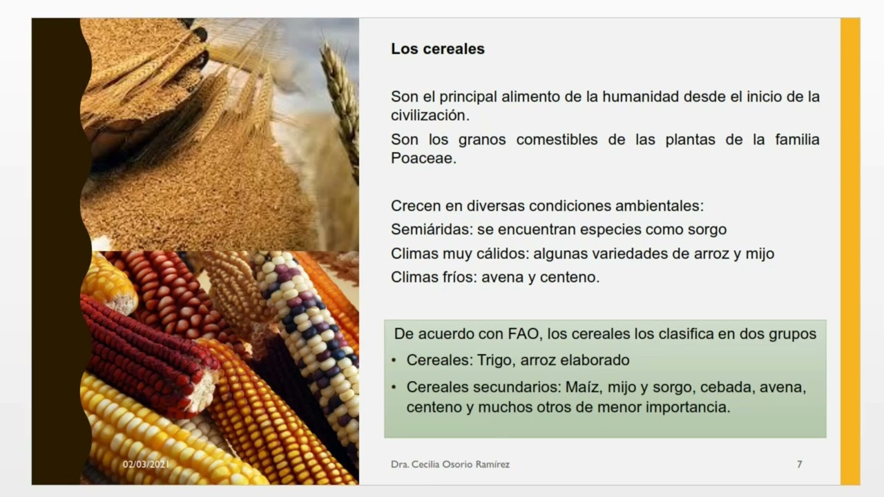 ¿Qué es un CULTIVO BÁSICO? | Introducción cultivos básicos