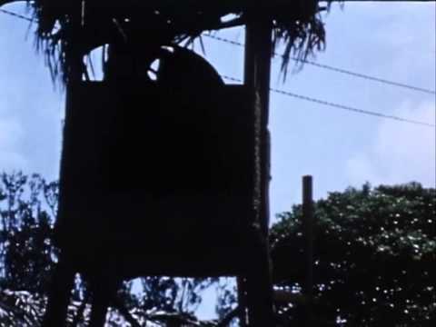 Spyforce (1971-1973)
