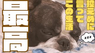 本当に好きなんだね😂