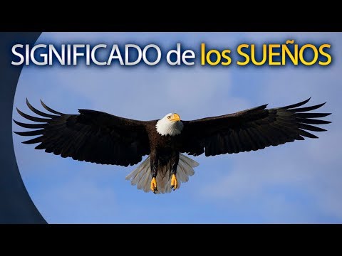 🔘 SOÑAR CON AGUILA - Significado de los Sueños