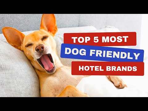 YouTube video about: Does country inn and suites allow pets?