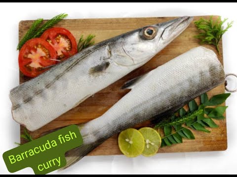 barracuda fish curry, Kandai fish curry, Kandai Meen masala