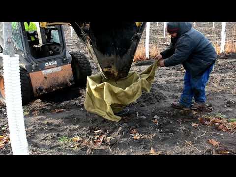 How to Harvest Trees - From Ground to Transport