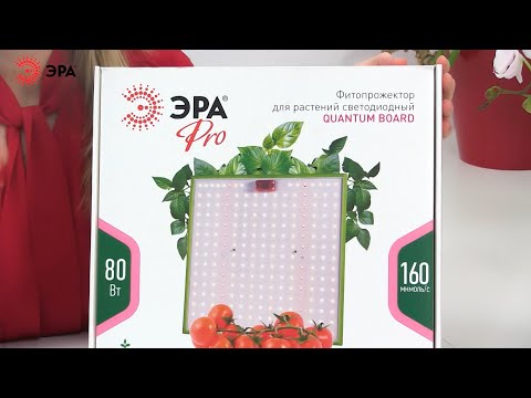Миниатюра изображения товара Светильник для растений ЭРА Quantum Board FITO-80W-LED-QB / Б0053285