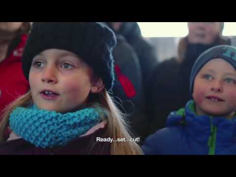 Tungeskjærerne