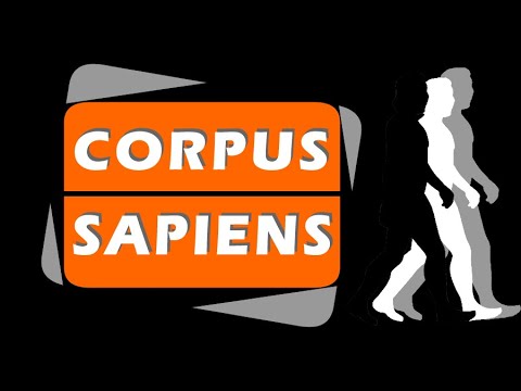 PROG  ANG  #002 CSTV