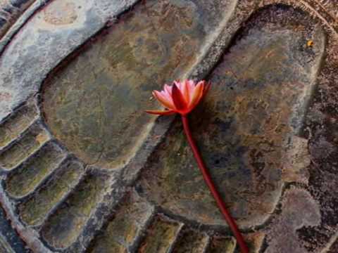 BIHAR UTILITIES Video