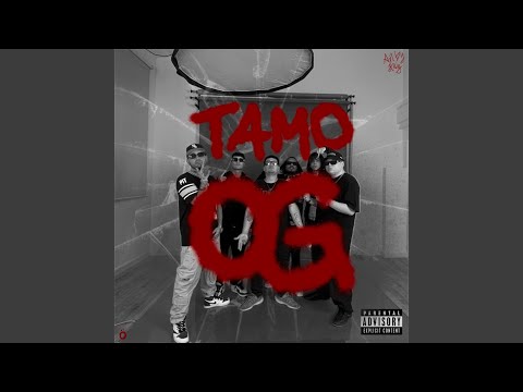 TAMO OG