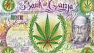 marijuana- brian robbins