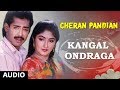 Kangal Ondraga Song Cheran Pandiyan Songs Sarath Kumar Srija Soundaryan Tamil Old Songs