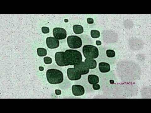 Hall North - Ola (Original Mix)