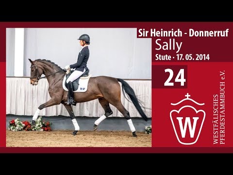 24 Sally Stute v. Sir Heinrich - Donnerruf