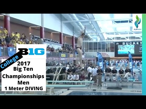 2017 Mens 1 Meter Diving Competition - College Diving - Big Ten Diving Championships
