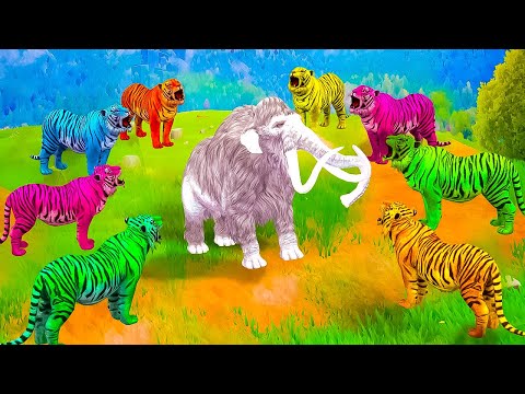 Elephants Vs 3 Tigers turn into Zombie Tigers attack African Elephant saved by White Woolly Mammoth