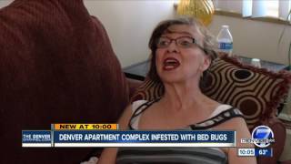 Bed bugs take over a Denver woman