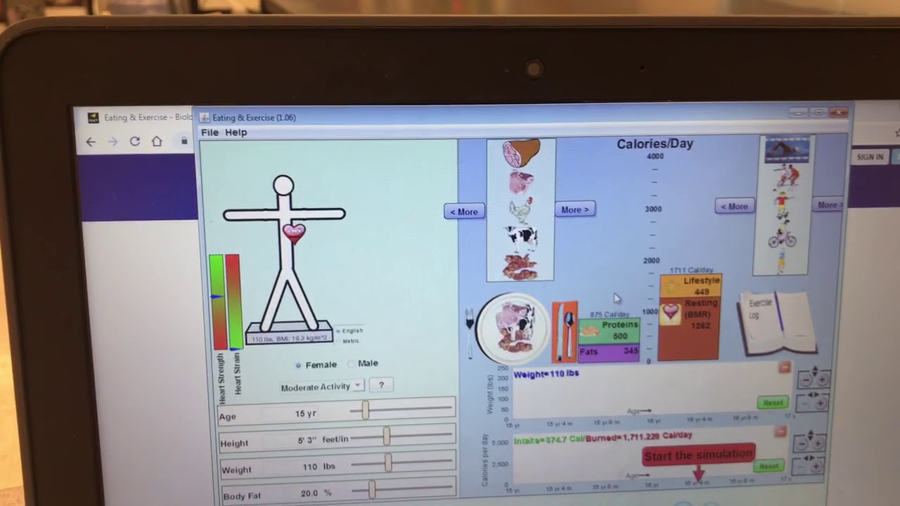 Exercise Virtual Lab Tutorial
