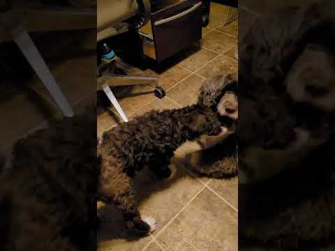 one on one with adults this is Kammy