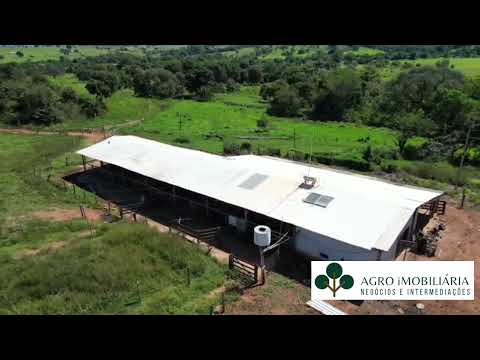 🚨 FAZENDA TRÊS CÓRREGOS À VENDA EM PONTALINA – GO
