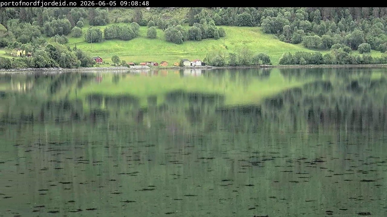 Live webcam view of Port of Nordfjordeid