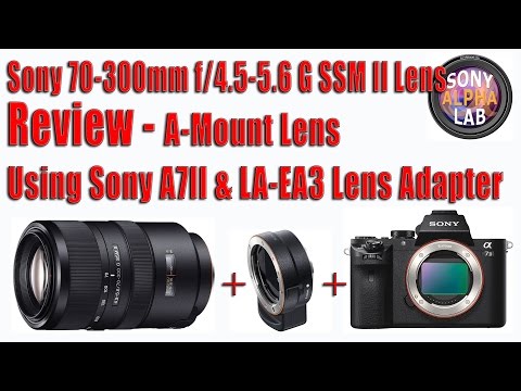 Video thumbnail for Video Review 3