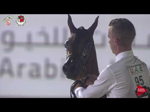 N 95 OMNIA AL HAWAJER   Emirates AHBC