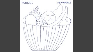 Musik-Video-Miniaturansicht zu The Space Songtext von Tigercats