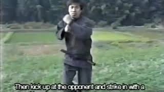 Hicho no kata