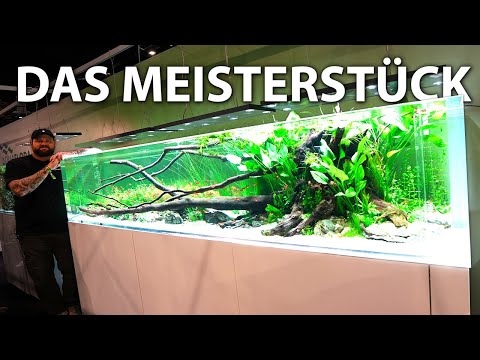 Das PERFEKTE Aquarium!! - Alles, was du als Süßwasseraquarianer haben möchtest 🥹