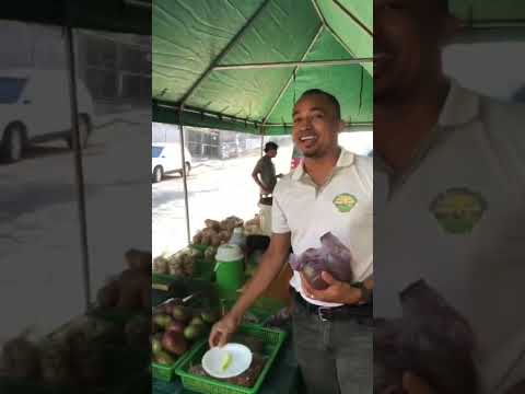 Feria Campesina en Pespire, Choluteca #frutas #fruit #agricultura #aguacate #plantas