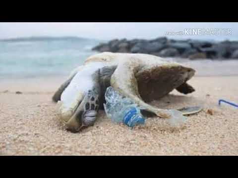 EARTH 🌍 🌍 IN 2066