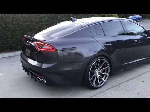 Panthera’s Greatest Hits