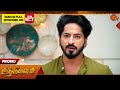 Aadukalam Special Promo 12 Oct 2025 Tamil Serial Sun TV
