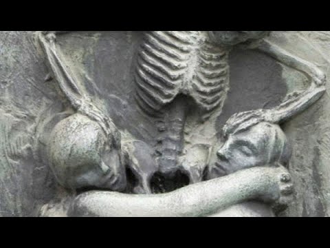 TAHA X KILLUA - ABU DHABI