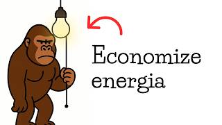 5 Hábitos que fazem baixar sua conta de luz