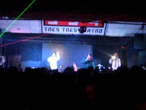 HORDATOJ !! en DAVE BEE en chile