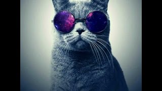 K Koke - I’m Back Again ft. Stefflon-Don (Prod. by SRNO)