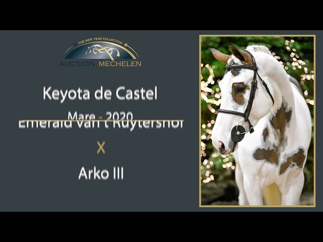 Keyota de Castel