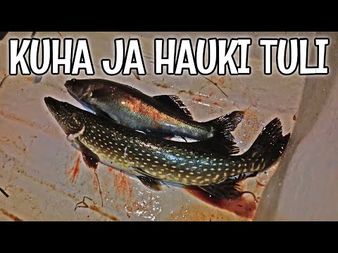 KÄVIN SOUTAMASSA LOHTA OULUJOELLA EKA KERTAA - SOPULILLE SOUTUVENE EXTRA