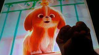 Horacio the handsnake - Daisy the Shih Tzu