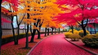 Relaxing music with nature sound