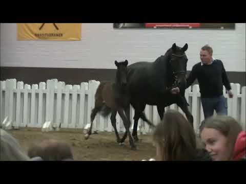 SF2019 Emilio Sanchez First Dance