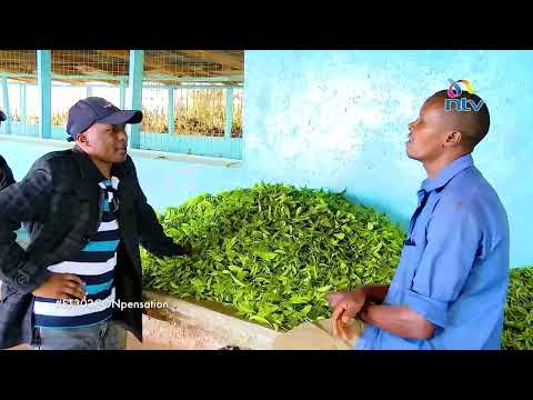 ET302 Crash: Uncovering the compensation fraud