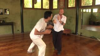 Da Shou - Heaven Man Earth Taiji