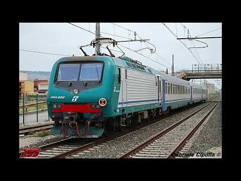 D445 vs E464 - Two worlds compared!