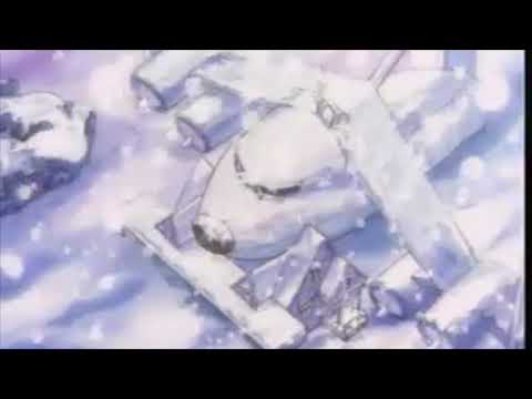 Truman Finnell - pitaboys