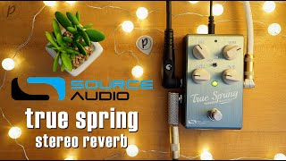 Video thumbnail for Source Audio True Spring Reverb (Stereo) by Pedal of the Day